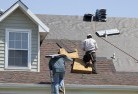 Reids Flatskylights-2.jpg; ?>